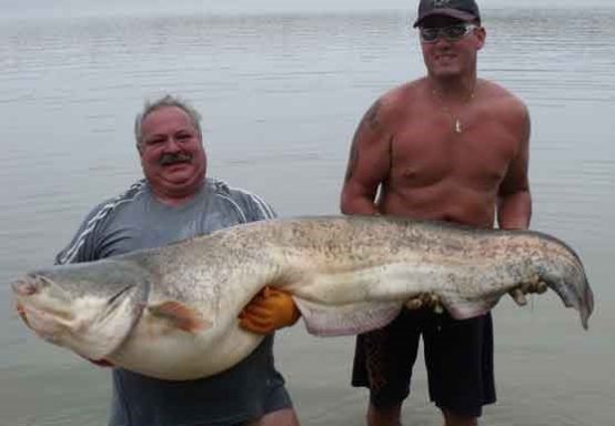 Waller am Ebro HR mit Guide